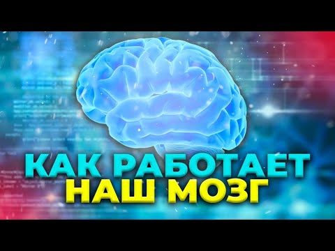 Видео: Как наш мозг нас обманывает. Иллюзии восприятия окружающего мира.