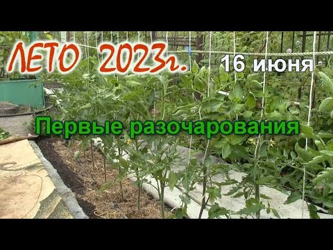 Видео: ЛЕТО. Первые разочарования.