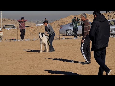 Видео: поле Гями 1ый Тур Турнир!