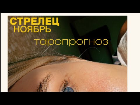 Видео: СТРЕЛЕЦ. ТАРОПРОГНОЗ. НОЯБРЬ. #тароshorts #чтонапороге #таропрогноз #тароноябрь #стрелецноябрь