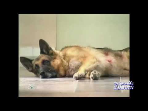 Видео: Опера вторая версия (ВМ. Переделанная)