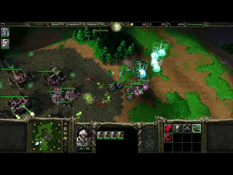 Видео: Warcraft III 1 на 1 Нежитью [4k]