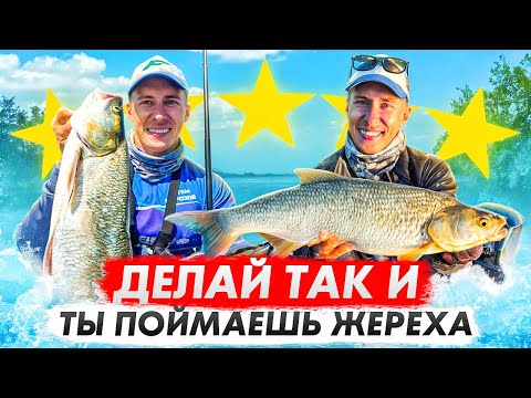 Видео: НЕ МОЖЕШЬ ПОЙМАТЬ ЖЕРЕХА??? ПОСМОТРИ ЭТО ВИДЕО! КРУПНЫЙ ЖЕРЕХ НА ОКЕ!
