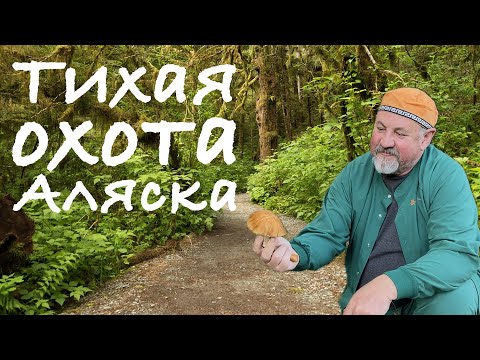 Видео: Тихая охота Аляска