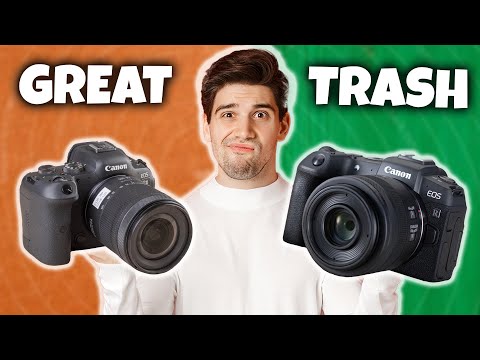 Видео: Я нашел лучшие камеры для фотосъемки дикой природы в 2025 году — и вот почему!