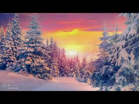 Видео: В очакване на бяла Коледа 2024-музикален поздрав