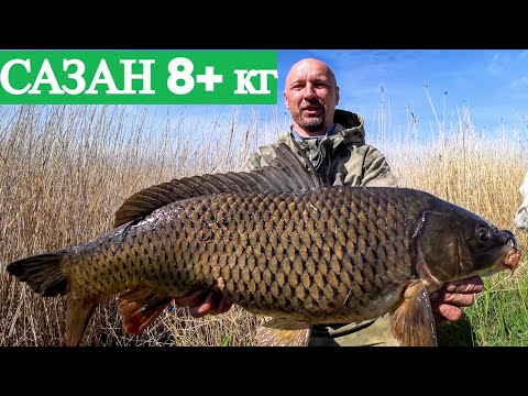 Видео: Рыбалка 2025 или САЗАН НА 8+ взят! Рыбалка на паук 2025 или рыба в ручье есть  Рыбалка с лодки