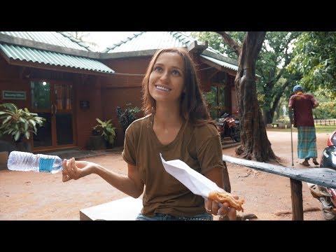 Видео: Шри-Ланка #6. Проблемы с полицией. Развод туристов. Сигирия. Анурадхапура