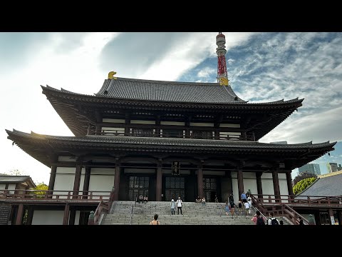 Видео: Япония 7