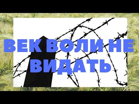 Видео: Как я 10 лет мотал