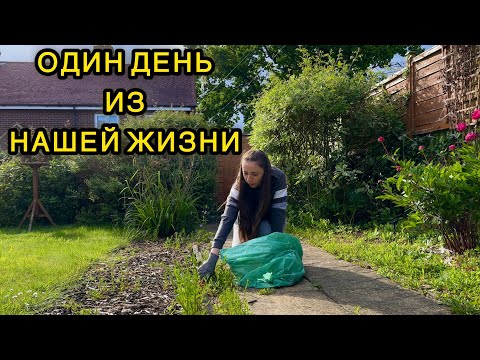 Видео: Влог из Англии, столько готовой еды я еще не видела. Tesco обзор цен и покупки