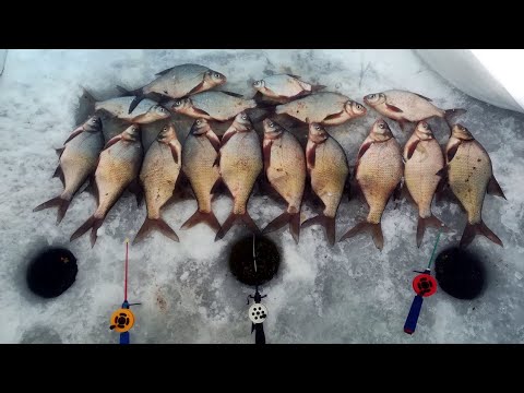 Видео: ПОПАЛ ПОД РАЗДАЧУ КРУПНЫХ ЛЕЩЕЙ НА ЯУЗСКОМ ВОДОХРАНИЛИЩЕ/ПУДЫШИ/2023.ЭТА МОРМЫШКА СДЕЛАЛА РЫБАЛКУ.