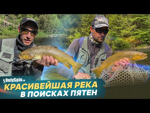 Видео: Ловля форели. Дикие места с красивой рыбой. Рыбалка с #OnlySpin