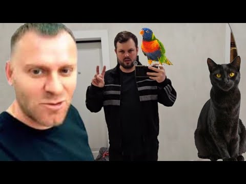 Видео: АДАМЯН  / КОЛЕНЬКА В ДЕЛЕ, сгораем от скуки. #saveliyad 