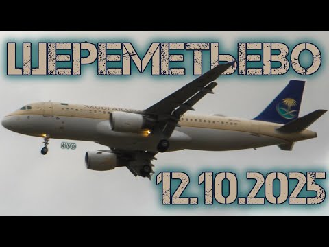 Видео: Споттинг в Шереметьево 12.10.2025
