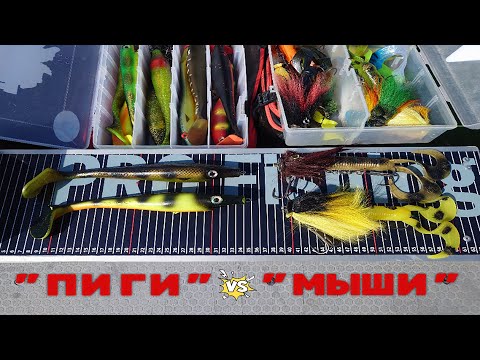 Видео: Miuras Mouse или Pig Shad,что лучше ловит щуку "мыши или свиньи"? оз. Babītes