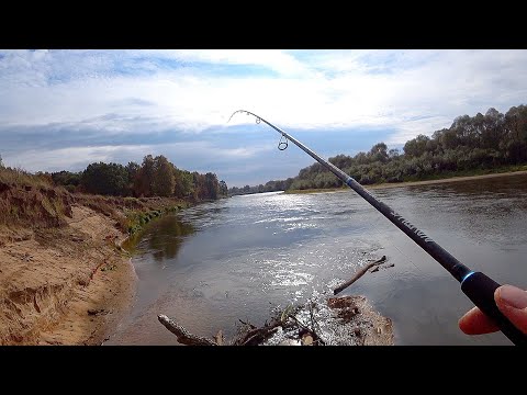 Видео: КАК НАХОЖУ РЫБУ В НОВОМ МЕСТЕ?! Ловля щуки и судака на джиг! Рыбалка на спиннинг осенью!