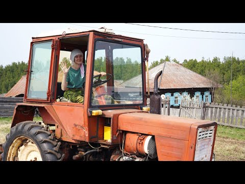 Видео: КУПИЛ 2 ДОМА В ДЕРЕВНЕ | КАТЯ ПАШЕТ ЗЕМЛЮ НА ТРАКТОРЕ | СВИНЬИ ПОДАЛИСЬ В БЕГА