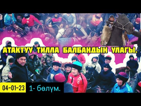 Видео: Тилла Балбандын Улагы (04-01-23) Өзгөн району Жалпак Таш айылы.