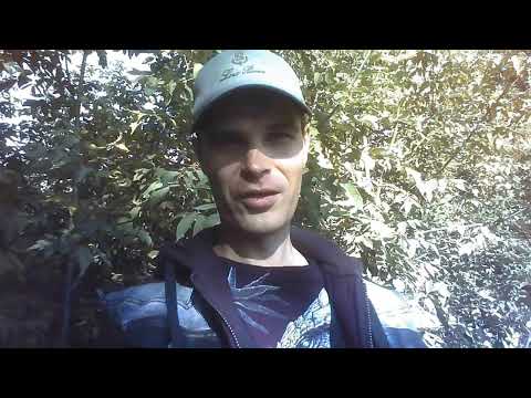 Видео: Ремонтирую велик ► Подгон от Яндекс. Получил шмот. Начинаю бонус на 15800 #яндекседа