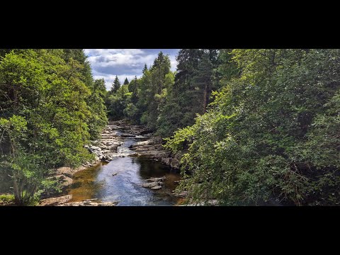 Видео: #232 Шотландия. Мой домашний зоопарк.