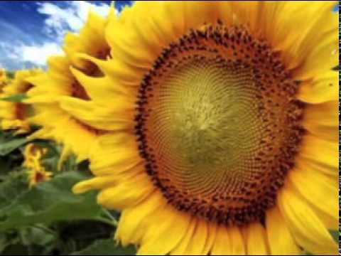 Видео: Честит 30ти Юбилей, Гери!