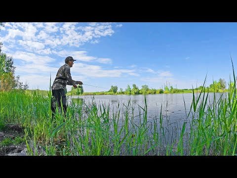 Видео: За это мы любим МОРМЫШИНГ!!  ЛЕТНИЙ ЖОР РЫБЫ в прибрежной ТРАВЕ! рыбалка 2024