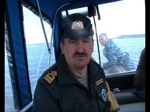 Видео: Браконьер поймал двухкилограммового лосося на Онежском озере