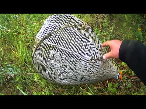 Видео: Рыбалка на Корчагу ,Сурку,Кубарь,Морду:Дедовский способ всегда успешный ..
