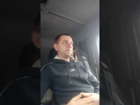 Видео: От людей до зверей и размышление про бумаги