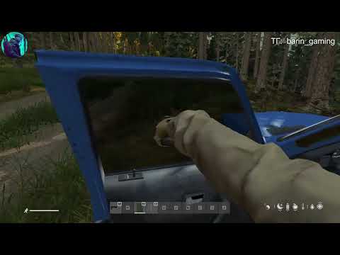 Видео: DayZ Баллонники