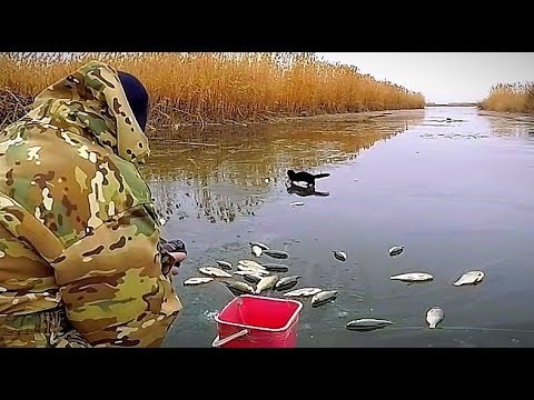 Видео: Я просто хотел поймать карася, а ловился крупный краснопёр. Зимняя рыбалка уже не по первому льду.