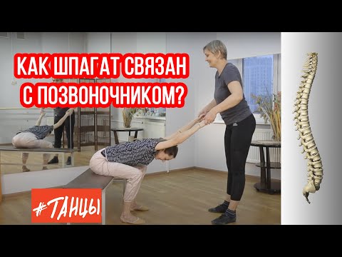 Видео: Как шпагат связан с позвоночником?