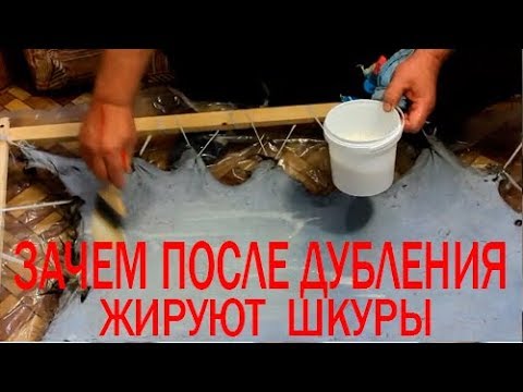 Видео: Жирование шкур. Выделка шкур . Жировые композиции