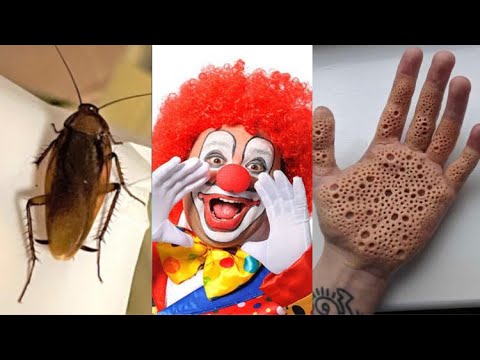 Видео: Самые глупые вещи, которых стоит бояться😱🤦‍♂️