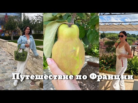 Видео: Путешествие по Франции| Шато, Вино и Рестораны| Интересные Города и Достопримечательности