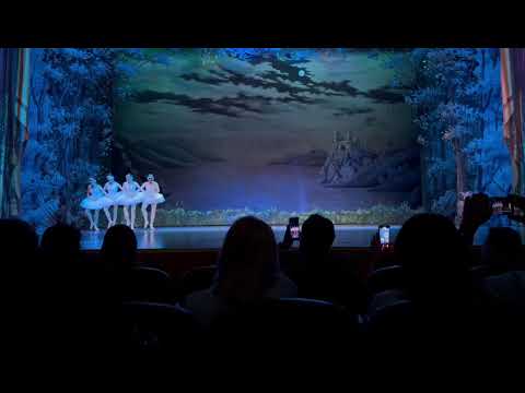 Видео: 28 октября 2025 г.