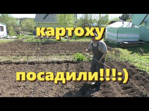 Видео: Дела огородные! Посадили картоху!