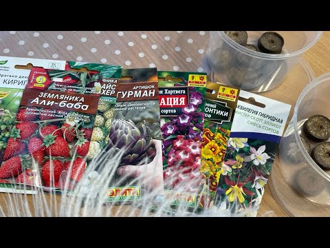 Видео: СТРАТИФИКАЦИЯ❄️ какие семена и как убрать на стратифицирование