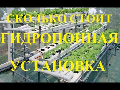 Видео: Сколько стоит многоярусная гидропонная установка для клубники? Как и из чего ее построить?