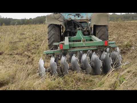 Видео: МТЗ80 дискуем  поле бороной (БНД 1.8)