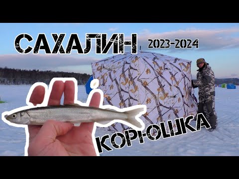 Видео: Первая корюшка! Открыли сезон подледной рыбалки 2023-2024!