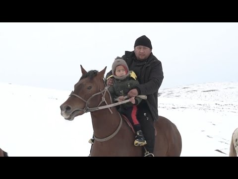 Видео: 03.02.2024 жыл Қазығұрт ауданы Тілектес елді мекені Тасполтаев Ерлібек ағамыздың елден бата алу