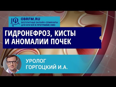 Видео: Уролог Горгоцкий И.А.: Гидронефроз, кисты и аномалии почек