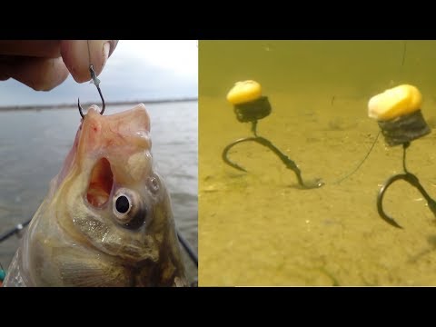 Видео: КРЮЧКИ .монтажи НА САЗАНА И КАРПА С 2 МИНУТЫ