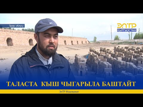 Видео: ТАЛАСТА  КЫШ ЧЫГАРЫЛА БАШТАЙТ