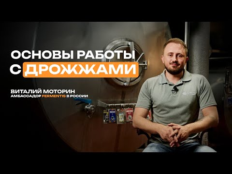 Видео: Как работать с дрожжами и основные ошибки в брожении | Основы пивоварения с Грейнрус #1