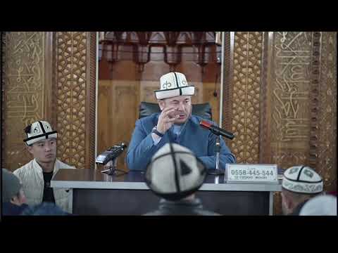 Видео: сабак