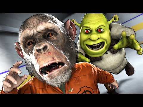 Видео: ОХОТА НА БАБУИНОВ НАЧАЛАСЬ! ШРЕК МАНЬЯК В CS:GO!!!