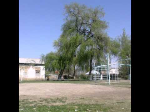 Видео: Мамажан Бердибеков мектеби